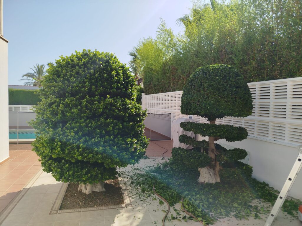 WhatsApp Image 2025-12-23 at 19.44.49 (1)