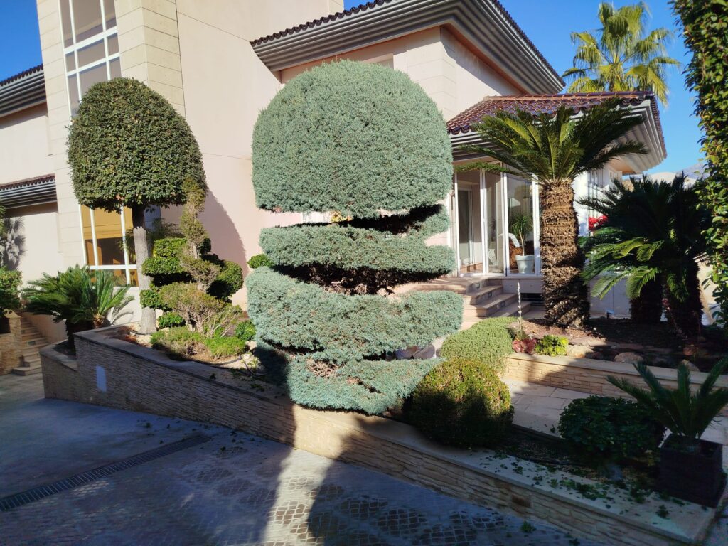 WhatsApp Image 2025-12-23 at 19.44.49 (2)