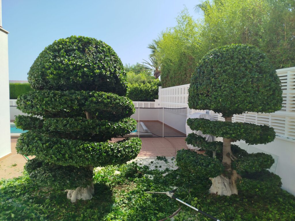 Jardinero en Altea Jardinero en Altea